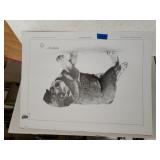 Cool Confidence Rottweiler Print