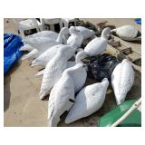 Painted Canadian Goose Decoys To Look Like Snow