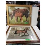 Horse & Horse and Foal Pictures