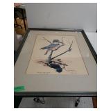 Eastern Kingfisher Painting