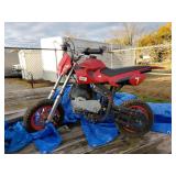 Gas Powered Mini Bike