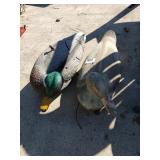 Duck Decoys