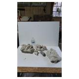 Several Pieces Of Dried Coral