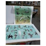 Assorted Bird Prints