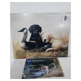 Puppy Picture & Blue Ribbon Beagles Picture