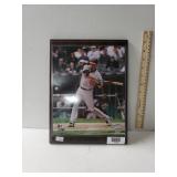 Framed Photo Of Orioles Player