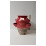 Two Toned Hens And Chicks Pot