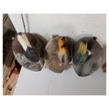 Decoy Ducks