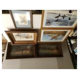 Assorted Fowl Pictures & Scenic River Pictures