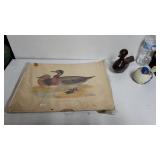 Bimaculated Duck Picture With Wood Duck Statue