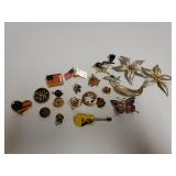 Costume Jewelry- Pins