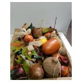 Assorted Fall Foliage