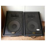 (2) Squier Speakers