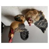 Rooster & Chicken Statues
