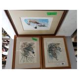 Assorted Bird Pictures