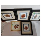 Assorted Decorative Leave Pictures