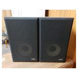 Pair Of Fisher Speaker Model DS-153