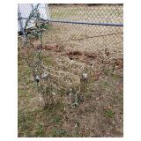 Small Outdoor Light Up Deer