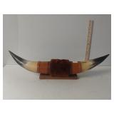 Bull Horns