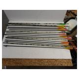 Assorted Arrows - Some Missing Heads And Some