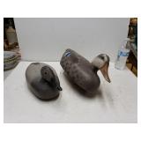 (2) Plastic Duck Decoys