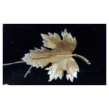 Sarah Coventry Designer Leaf Shaped Brooch