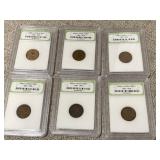 Lot 6 Wheat Cents 1920s - INB Certified