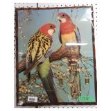 Parrot Glossy Wall Clock