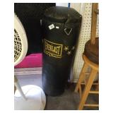Everlast Punching Bag