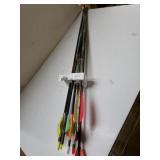 Assorted Arrows