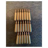 20 Rounds of 22-250 Bullets
