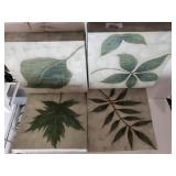 Assorted Leaf Canvas Paintings