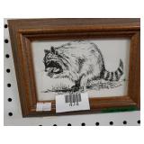 Pen And Ink Racoon Picture By Rose Doster