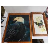 Eagle Picture And Butterfly Picture