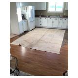 2 Canvas painters Drop Cloths