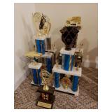 Assorted Car Trophies (7)