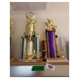 Assorted Car Trophies (6)