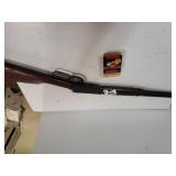 BB Gun & Copperhead BBs
