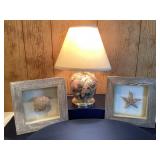 Seashell Lamp & Two Shell & Starfish Pictures