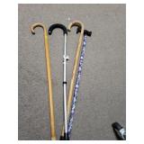 Assorted Canes