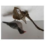 Bird On Wood Display