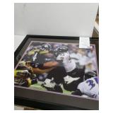 Autographed Haloti Ngata Baltimore Ravens Framed