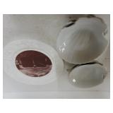 Shell & Decorative Plates