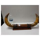 Bull Horns