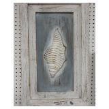 Carved Conch Picture