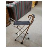 Portable Seat & Cane
