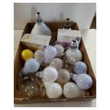 Assorted Bulbs