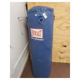 Everlast Punching Bag