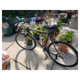 Schwinn High Timber Men