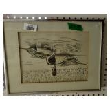 Pintails On The Pond Drawing